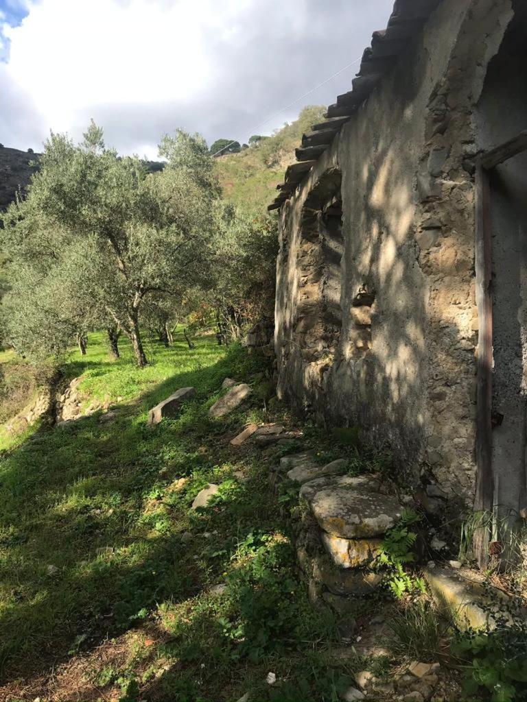Villa La Pergola Dei Paggi Sestri Levante Exterior foto